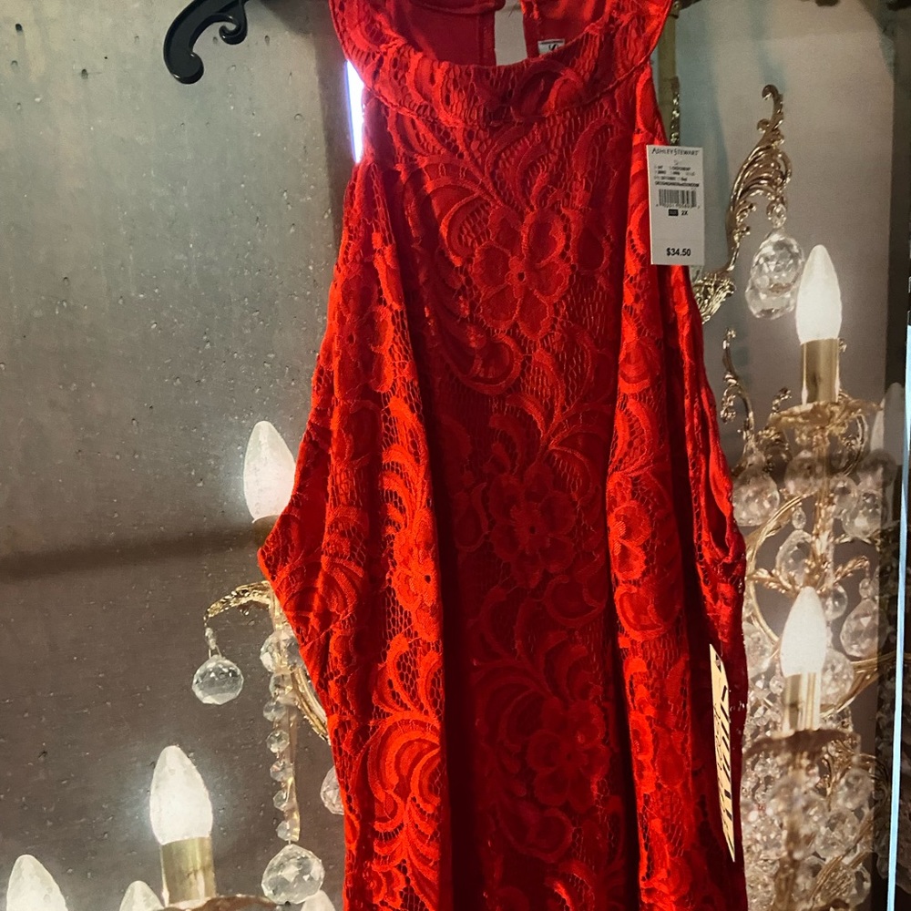 Sexy red lace dress…lined with polyester fabric for sexy fitted  dress